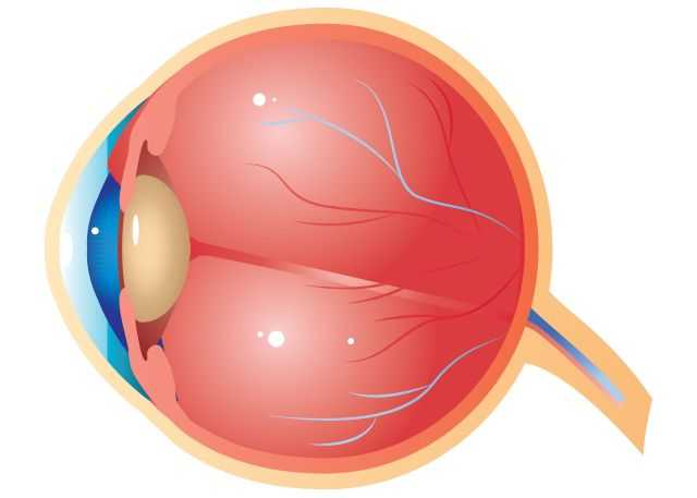 age-related-macular-degeneration